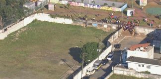 Menino morre após pular muro para buscar pipa e ser atacado por cães
