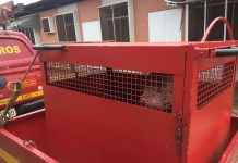 Cães da raça Pitbull causam pânico no bairro Miramar, na Região do Barreiro, em BH