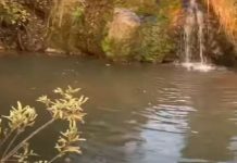Homem tenta salvar namorada em cachoeira, mas casal morre afogado Homem tenta salvar namorada em cachoeira, mas casal morre afogado