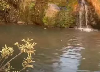 Homem tenta salvar namorada em cachoeira, mas casal morre afogado Homem tenta salvar namorada em cachoeira, mas casal morre afogado