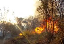 Incêndio no Parque Estadual do Pau Furado atinge área de preservação, em Uberlândia Incêndio no Parque Estadual do Pau Furado atinge área de preservação, em Uberlândia
