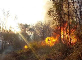 Incêndio no Parque Estadual do Pau Furado atinge área de preservação, em Uberlândia Incêndio no Parque Estadual do Pau Furado atinge área de preservação, em Uberlândia