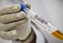 Uberlândia registra sete novas mortes por Covid-19; ocupação de leitos sobe para 98% Uberlândia registra sete novas mortes por Covid-19; ocupação de leitos sobe para 98%