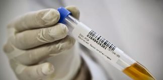Uberlândia registra sete novas mortes por Covid-19; ocupação de leitos sobe para 98% Uberlândia registra sete novas mortes por Covid-19; ocupação de leitos sobe para 98%