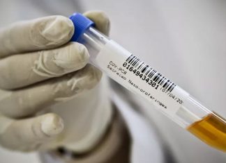 Uberlândia registra sete novas mortes por Covid-19; ocupação de leitos sobe para 98% Uberlândia registra sete novas mortes por Covid-19; ocupação de leitos sobe para 98%