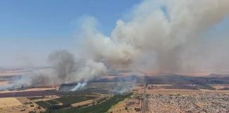 Incêndio em vegetação próxima à Fazenda do Glória em Uberlândia é controlado Incêndio em vegetação próxima à Fazenda do Glória em Uberlândia é controlado