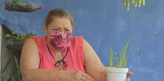 Mulher diz que gata morreu após comer folha de ‘sementes misteriosas’ que vieram da China Mulher diz que gata morreu após comer folha de 'sementes misteriosas' que vieram da China