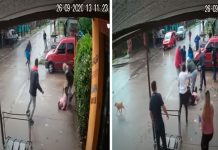 VÍDEO: Uma mulher tenta salvar sua filha de sete anos das garras de um pit bull VÍDEO: Uma mulher tenta salvar sua filha de sete anos das garras de um pit bull