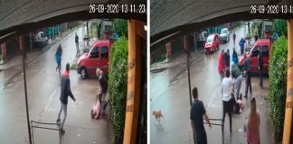 VÍDEO: Uma mulher tenta salvar sua filha de sete anos das garras de um pit bull VÍDEO: Uma mulher tenta salvar sua filha de sete anos das garras de um pit bull