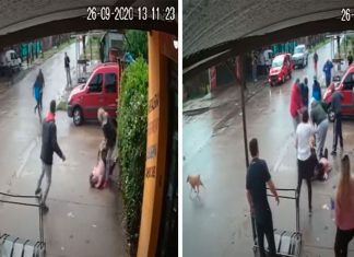 VÍDEO: Uma mulher tenta salvar sua filha de sete anos das garras de um pit bull VÍDEO: Uma mulher tenta salvar sua filha de sete anos das garras de um pit bull