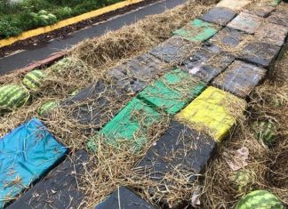 PRF encontra carga de maconha avaliada em R$ 4 millhões em caminhão de melancia PRF encontra carga de maconha avaliada em R$ 4 millhões em caminhão de melancia