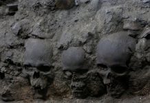Torre de crânios humanos aterrorizante é encontrada no México Torre de crânios humanos aterrorizante é encontrada no México