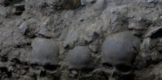 Torre de crânios humanos aterrorizante é encontrada no México Torre de crânios humanos aterrorizante é encontrada no México