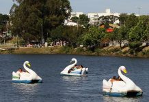 Uso dos pedalinhos volta a ser permitido ao público do Parque do Sabiá em Uberlândia Uso dos pedalinhos volta a ser permitido ao público do Parque do Sabiá em Uberlândia