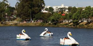Uso dos pedalinhos volta a ser permitido ao público do Parque do Sabiá em Uberlândia Uso dos pedalinhos volta a ser permitido ao público do Parque do Sabiá em Uberlândia