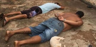Cachorrinha também se “rendeu” ela deitou no chão quando seu dono foi rendido: “se entrega” à polícia Cachorrinha também se rendeu