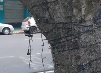 Vândalos estragam 20 mil lâmpadas da decoração de Natal na Praça Tubal Vilela, em Uberlândia