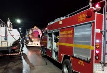 Quatro cachorros morrem ao ficarem presos em cômodo de casa durante incêndio em MG Quatro cachorros morrem ao ficarem presos em cômodo de casa durante incêndio em MG