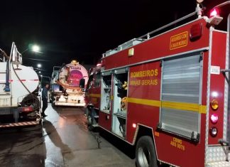 Quatro cachorros morrem ao ficarem presos em cômodo de casa durante incêndio em MG Quatro cachorros morrem ao ficarem presos em cômodo de casa durante incêndio em MG