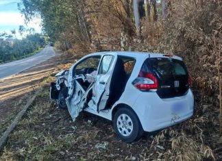 Motorista Fica Ferido Após Colidir com Cavalo Mecânico na MGC-267 em Campestre, MG Motorista Fica Ferido Após Colidir com Cavalo Mecânico na MGC-267 em Campestre, MG