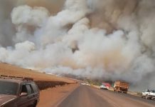 Incêndio forma ‘parede de fumaça’ ao atingir canavial e reserva ambiental em MG Incêndio forma 'parede de fumaça' ao atingir canavial e reserva ambiental em MG