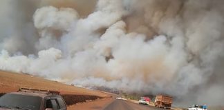 Incêndio forma ‘parede de fumaça’ ao atingir canavial e reserva ambiental em MG Incêndio forma 'parede de fumaça' ao atingir canavial e reserva ambiental em MG