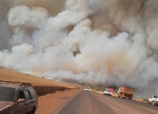 Incêndio forma ‘parede de fumaça’ ao atingir canavial e reserva ambiental em MG Incêndio forma 'parede de fumaça' ao atingir canavial e reserva ambiental em MG
