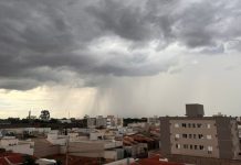 Chuva em Minas Gerais: Número de Mortes Sobe para Seis e Quase Mil Pessoas Estão Desalojadas Chuva em Minas Gerais