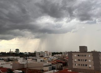 Chuva em Minas Gerais: Número de Mortes Sobe para Seis e Quase Mil Pessoas Estão Desalojadas Chuva em Minas Gerais