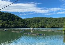Lancha Enrosca em Gaiolas de Peixes e Mergulhador Desaparece ao Tentar Soltar o Motor em Represa de MG Lancha Enrosca em Gaiolas de Peixes e Mergulhador Desaparece ao Tentar Soltar