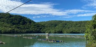 Lancha Enrosca em Gaiolas de Peixes e Mergulhador Desaparece ao Tentar Soltar o Motor em Represa de MG Lancha Enrosca em Gaiolas de Peixes e Mergulhador Desaparece ao Tentar Soltar