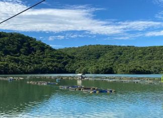 Lancha Enrosca em Gaiolas de Peixes e Mergulhador Desaparece ao Tentar Soltar o Motor em Represa de MG Lancha Enrosca em Gaiolas de Peixes e Mergulhador Desaparece ao Tentar Soltar