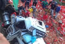 Carreta carregada com cebolas cai de ponte na BR-153 em Prata após motorista perder o controle Carreta carregada com cebolas cai de ponte na BR-153 em Prata após motorista perder o controle