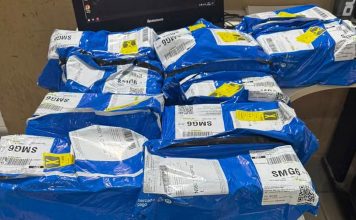 Casal é preso por aplicar golpe de R$ 250 mil em empresa de máquinas de cartão em Uberlândia, MG Casal é preso por aplicar golpe de R$ 250 mil em empresa de máquinas de cartão em Uberlândia, MG