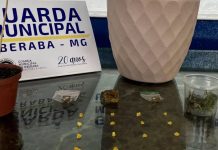 Guarda Civil Municipal Confisca Drogas no Bairro Serra Dourada em Uberaba Guarda Civil Municipal Confisca Drogas no Bairro Serra Dourada em Uberaba