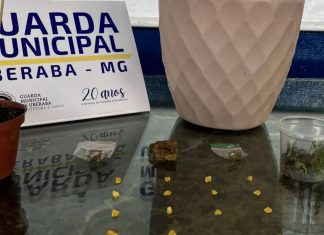 Guarda Civil Municipal Confisca Drogas no Bairro Serra Dourada em Uberaba Guarda Civil Municipal Confisca Drogas no Bairro Serra Dourada em Uberaba