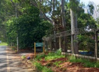 Ministério Público exige melhorias em rua no entorno do Parque do Sabiá Ministério Público exige melhorias em rua no entorno do Parque do Sabiá