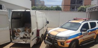 Polícia Militar Rodoviária de MG apreende carga de R$ 30 mil obtida por golpe; destino era Ituiutaba Polícia Militar Rodoviária de MG apreende carga de R$ 30 mil obtida por golpe