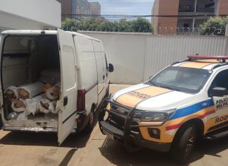 Polícia Militar Rodoviária de MG apreende carga de R$ 30 mil obtida por golpe; destino era Ituiutaba Polícia Militar Rodoviária de MG apreende carga de R$ 30 mil obtida por golpe