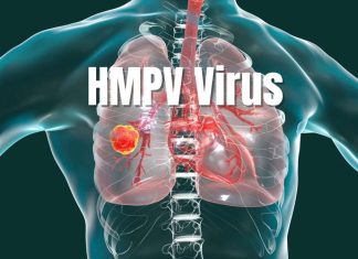 Surto de metapneumovírus (HMPV) causa preocupação na China 5 anos após a COVID-19; entenda a doença Surto de metapneumovírus (HMPV) causa preocupação na China 5 anos após a COVID-19; entenda a doença