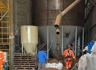 Funcionário morre soterrado em silo de ração para peixes durante manutenção em empresa de Uberlândia Funcionário morre soterrado em silo de ração para peixes durante manutenção em empresa de Uberlândia Na manhã desta segunda-feira (10), um grave acidente de trabalho resultou na morte de um funcionário durante a manutenção de um silo de ração para peixes em uma empresa localizada a 25 km de Uberlândia. O incidente ocorreu quando dois trabalhadores tentavam remover blocos de ração acumulados, sem imaginar o perigo iminente. Dinâmica do acidente Para acessar o interior do silo, os funcionários utilizaram uma empilhadeira e fixaram uma escada com talabarte para facilitar a descida. No entanto, ao pisarem sobre os grãos e começarem a utilizar uma picareta para desprender os blocos, a ração começou a descer rapidamente, criando um fluxo repentino que acabou soterrando ambos. Momento crítico Enquanto um dos trabalhadores conseguiu se segurar na escada e escapar ileso, o outro ficou preso na parte inferior do silo, justamente no ponto onde a ração escoava para uma rosca sem-fim, que estava ligada no momento do acidente. O agravamento da situação exigiu uma ação rápida dos colegas de trabalho, que abriram as escotilhas de acesso e iniciaram a remoção dos grãos para tentar salvar a vítima. Esforços de resgate e fatalidade Equipes do Corpo de Bombeiros e do Serviço Integrado de Atendimento ao Trauma em Emergência (Siate) foram acionadas imediatamente. Para facilitar o resgate, os profissionais utilizaram equipamentos de corte e abriram um acesso adicional na lateral direita do silo. Apesar dos esforços, ao ser resgatado, o trabalhador não resistiu aos ferimentos. Outras vítimas e investigações O segundo funcionário, que conseguiu escapar, foi atendido no local, mas não precisou de encaminhamento médico. Já o proprietário da empresa, abalado com a situação, passou mal e precisou ser levado para atendimento. A Polícia Militar isolou a área para que a perícia técnica possa investigar as circunstâncias do acidente e apurar se houve falhas nos protocolos de segurança do trabalho.