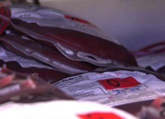 Baixo estoque de sangue no Hemocentro de Uberlândia coloca cirurgias eletivas em risco Baixo estoque de sangue no Hemocentro de Uberlândia coloca cirurgias eletivas em risco