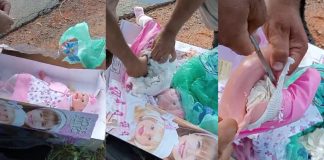 Boneca recheada de drogas, destinadas ao Carnaval, é apreendida na BR-146 em Patos de Minas Boneca recheada de drogas, destinadas ao Carnaval, é apreendida na BR-146 em Patos de Minas