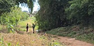 Corpo é localizado em terreno no Centro de Campos Altos Corpo é localizado em terreno no Centro de Campos Altos