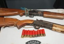 Homens são detidos com armas e capivara abatida em Unaí Homens são detidos com armas e capivara abatida em Unaí