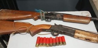 Homens são detidos com armas e capivara abatida em Unaí Homens são detidos com armas e capivara abatida em Unaí