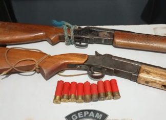 Homens são detidos com armas e capivara abatida em Unaí Homens são detidos com armas e capivara abatida em Unaí