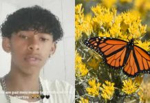 Jovem morre após injetar borboleta morta na veia como parte de desafio na internet Jovem morre após injetar borboleta morta na veia como parte de desafio na internet