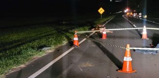 Motociclista perde a vida após colisão com vaca em Uberlândia Motociclista perde a vida após colisão com vaca em Uberlândia