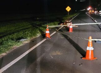 Motociclista perde a vida após colisão com vaca em Uberlândia Motociclista perde a vida após colisão com vaca em Uberlândia